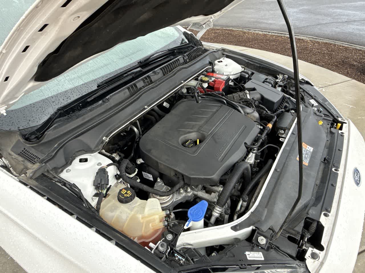 2014 Ford Fusion SE Image 6 of 24