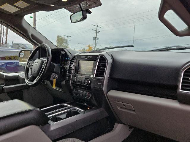 2015 Ford F-150 XLT Image 14 of 20