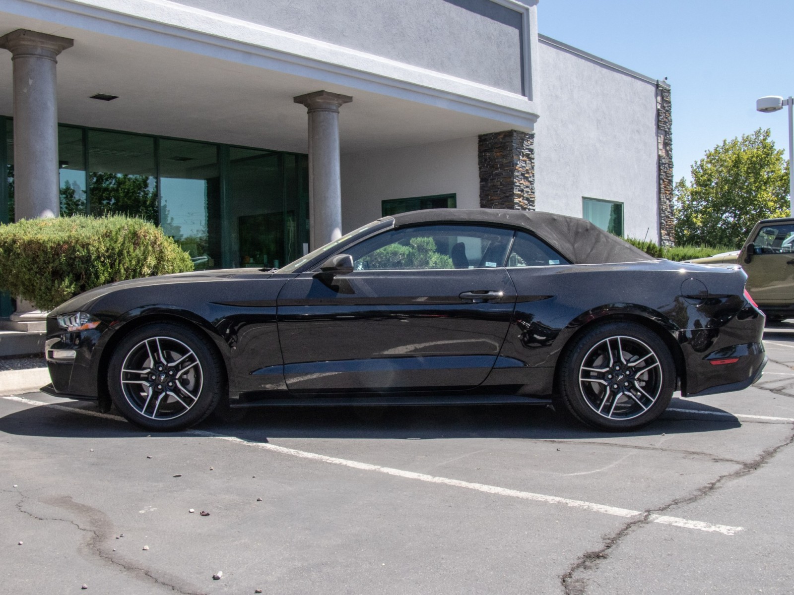 2015 Ford Mustang GT Premium Image 8 of 21