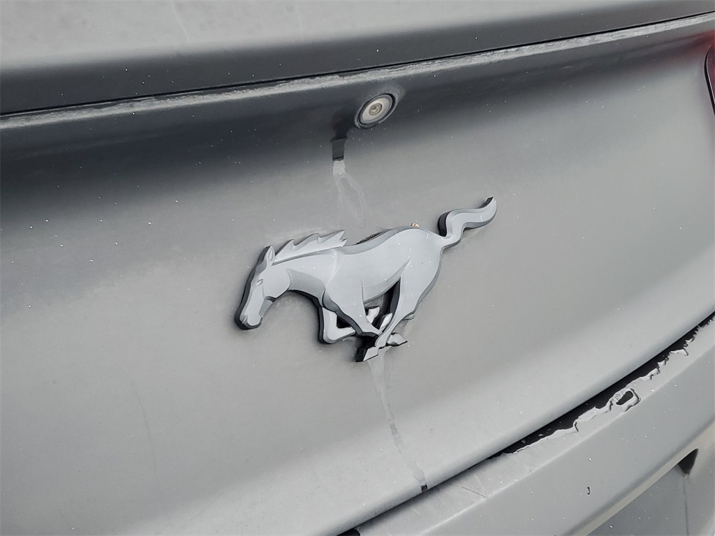 2016 Ford Mustang EcoBoost Premium Image 24 of 30