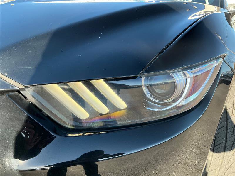 2016 Ford Mustang EcoBoost Image 28 of 35