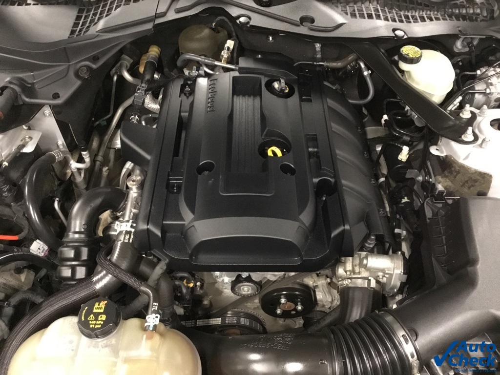 2016 Ford Mustang EcoBoost Premium Image 22 of 54