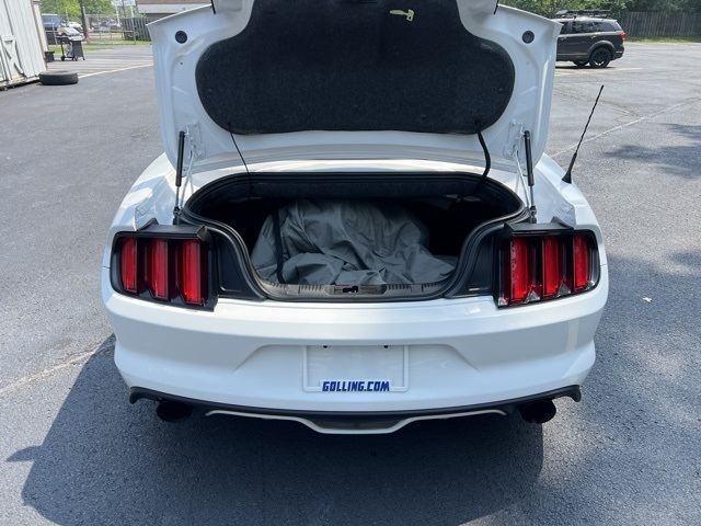 2016 Ford Mustang GT Premium Image 19 of 32