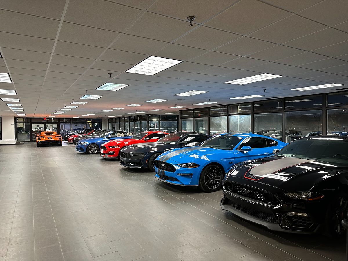 2016 Ford Mustang Shelby GT350 Image 41 of 46