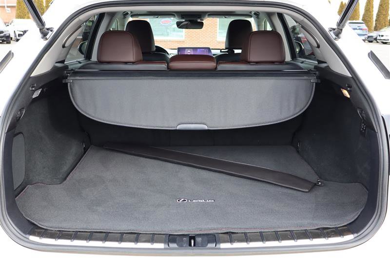 2016 Lexus RX 350 F Sport Image 13 of 43