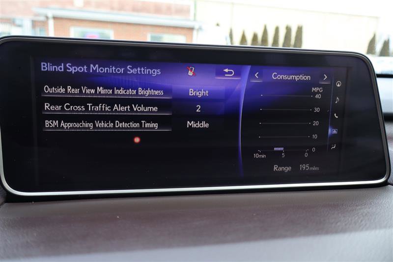 2016 Lexus RX 350 F Sport Image 38 of 43