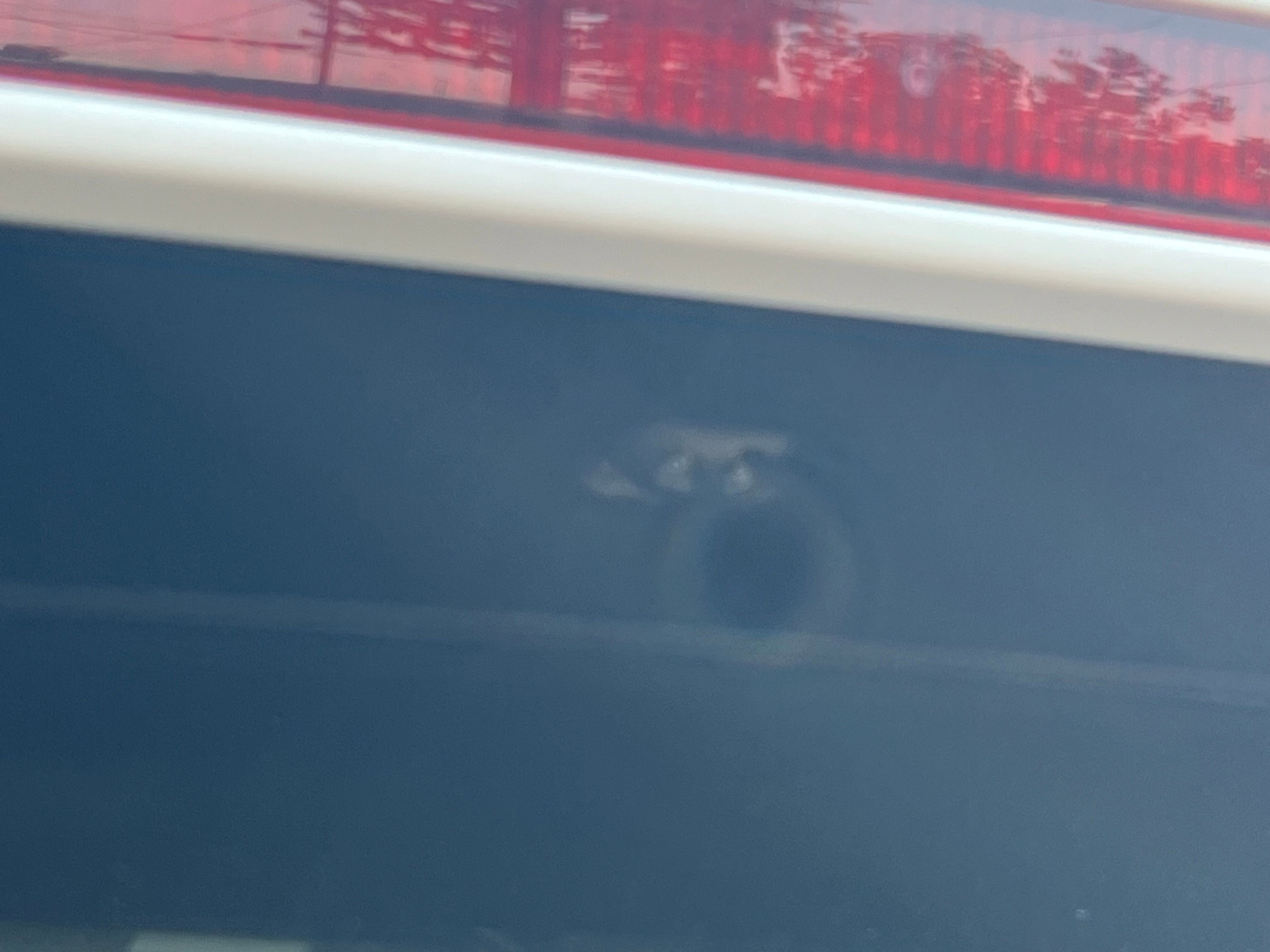 Vehicle image 71 of 82