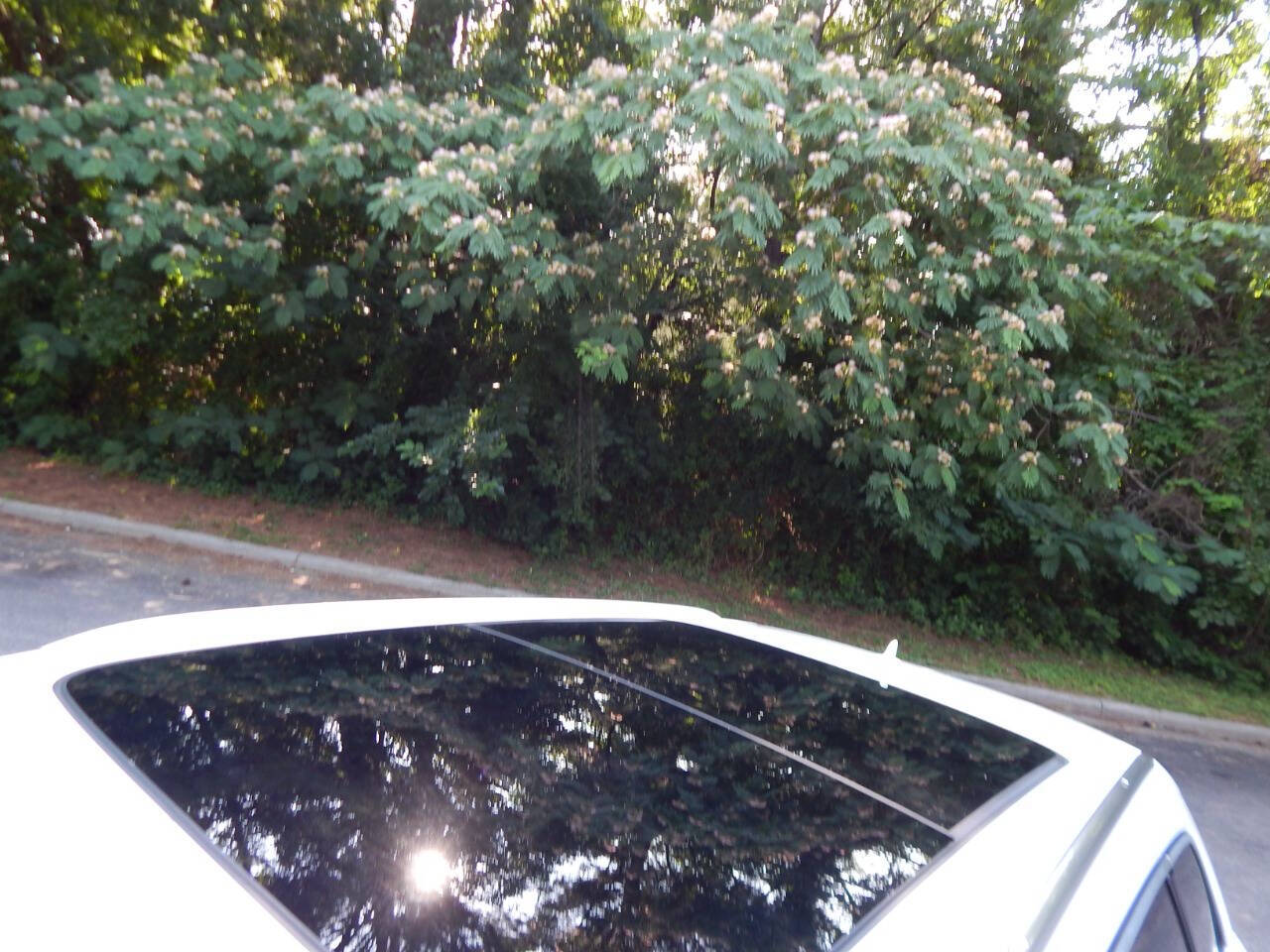 Vehicle image 44 of 59