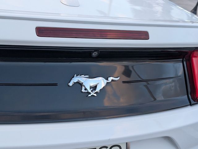 2018 Ford Mustang EcoBoost Premium Image 22 of 22