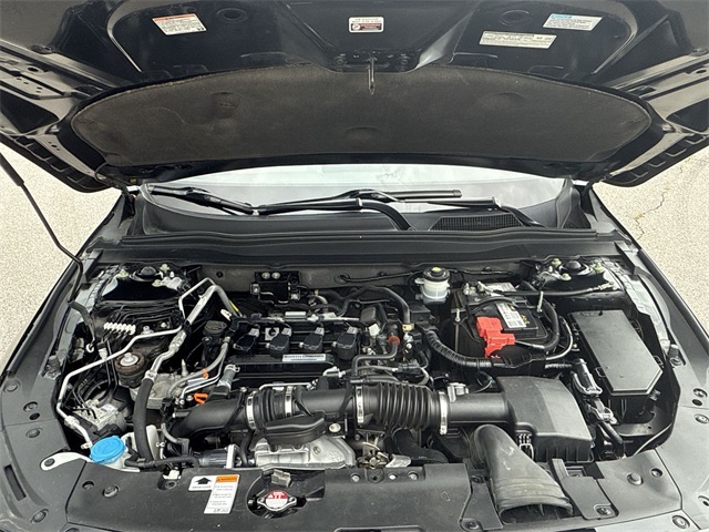 2018 Honda Accord EX-L 1.5T Image 17 of 32