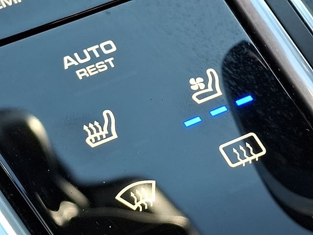 2018 Porsche Panamera E-Hybrid 4 Image 17 of 35