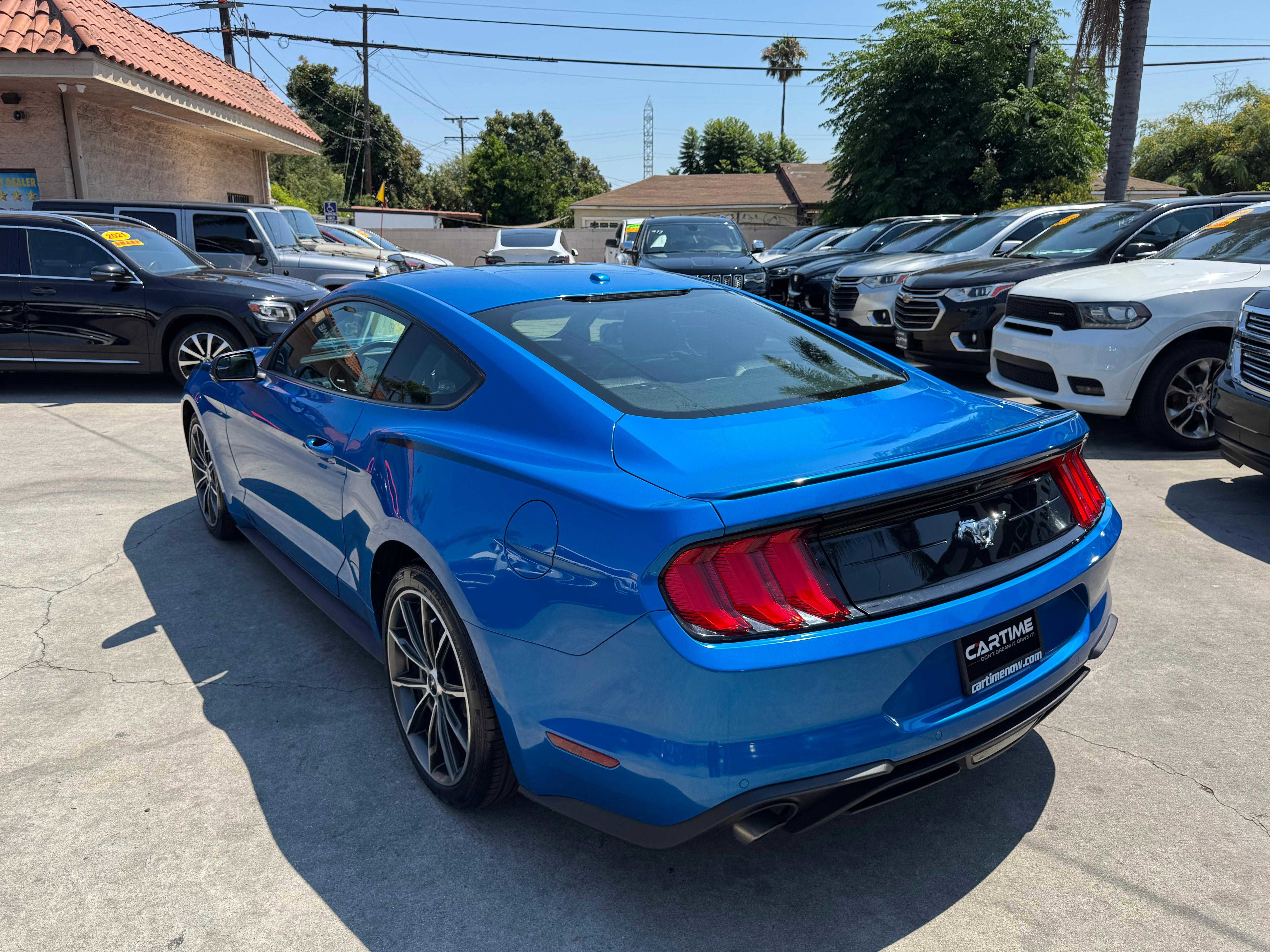 2019 Ford Mustang EcoBoost Premium Image 14 of 49