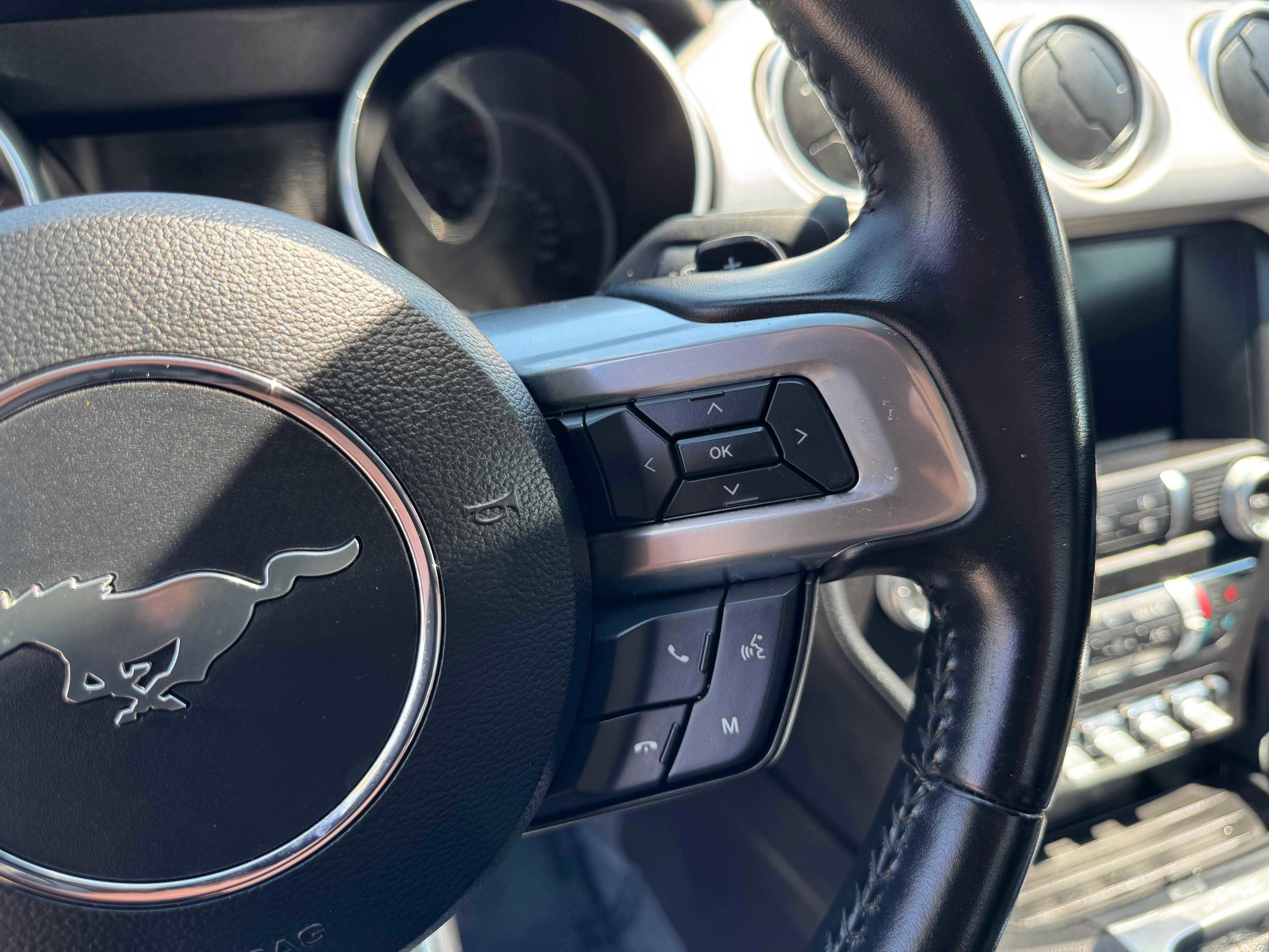 2019 Ford Mustang EcoBoost Premium Image 30 of 49