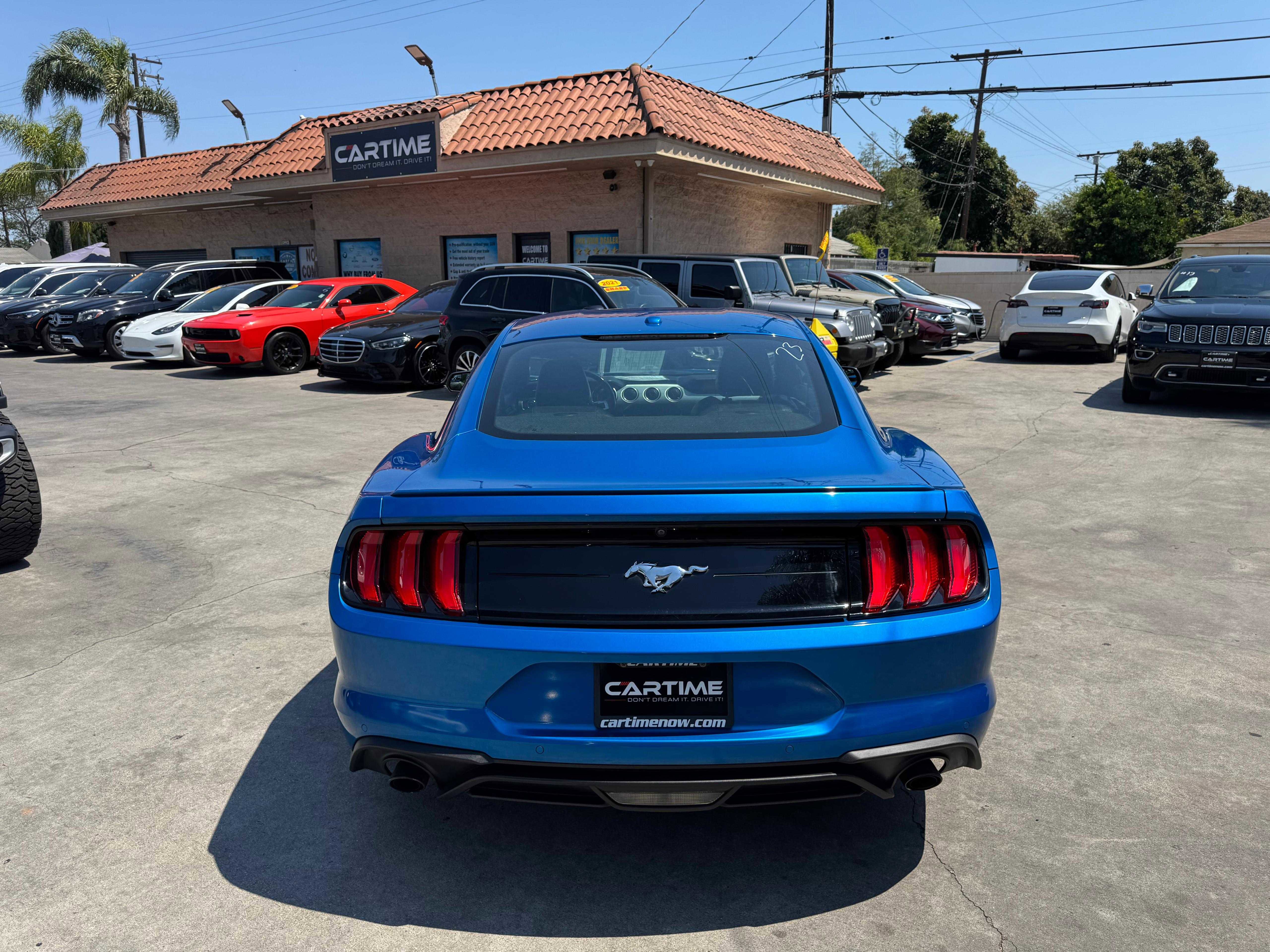 2019 Ford Mustang EcoBoost Premium Image 13 of 49