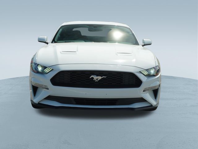 2019 Ford Mustang EcoBoost Image 3 of 36
