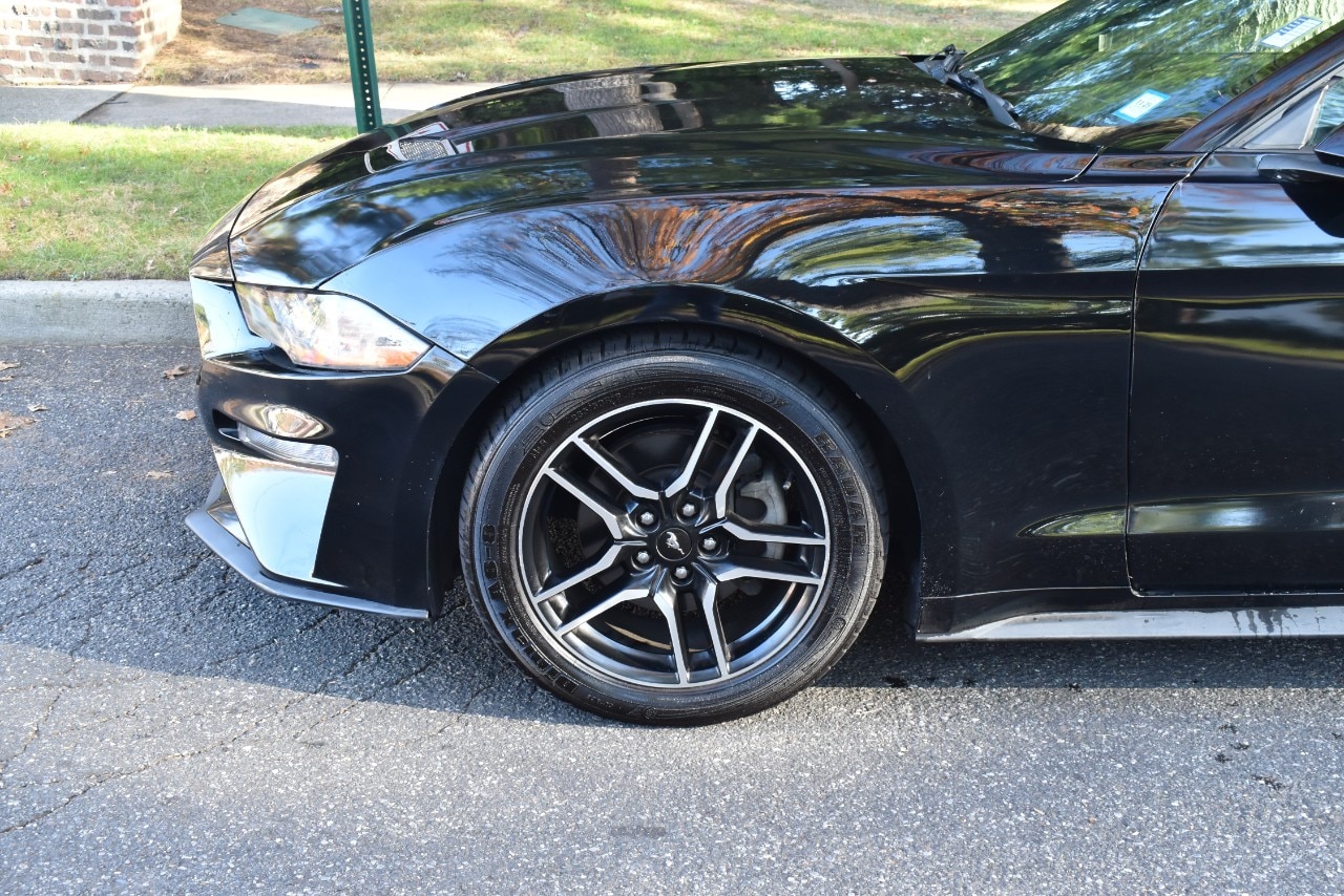 2019 Ford Mustang EcoBoost Premium Image 5 of 49