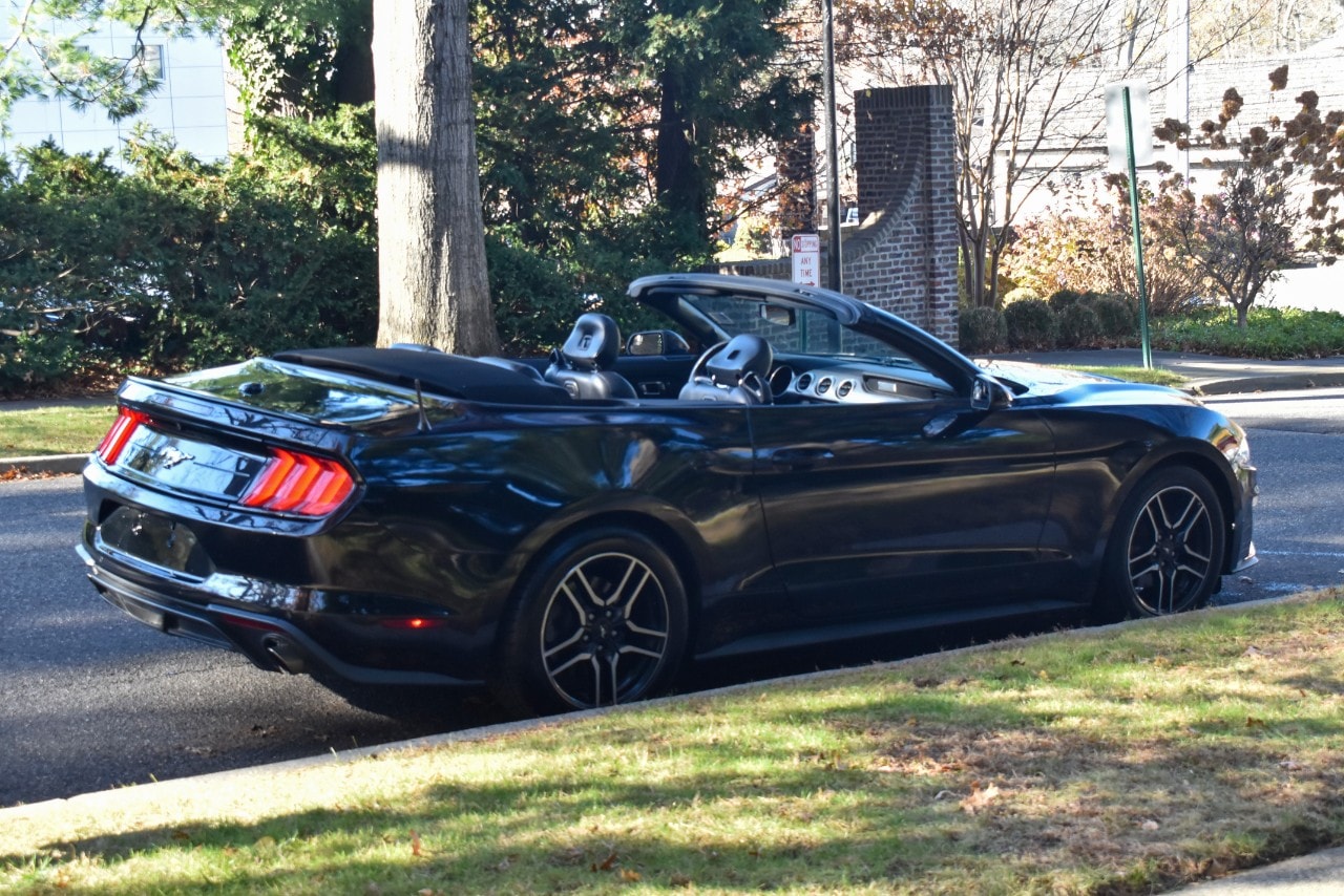 2019 Ford Mustang EcoBoost Premium Image 13 of 49