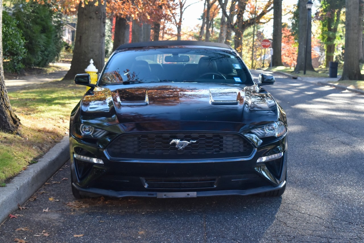2019 Ford Mustang EcoBoost Premium Image 7 of 49