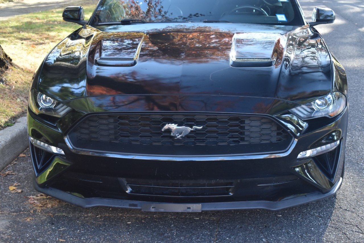 2019 Ford Mustang EcoBoost Premium Image 6 of 49