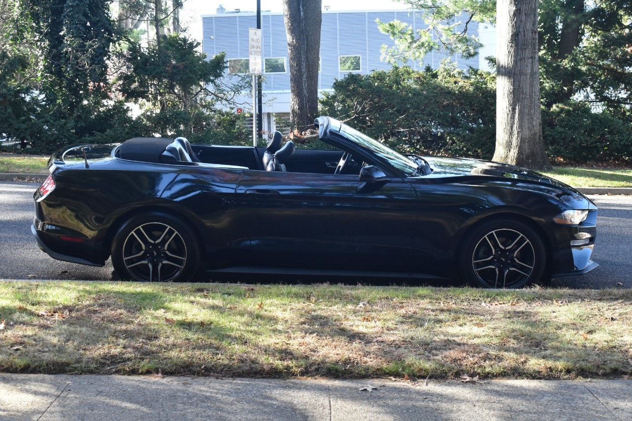 2019 Ford Mustang EcoBoost Premium Image 11 of 49