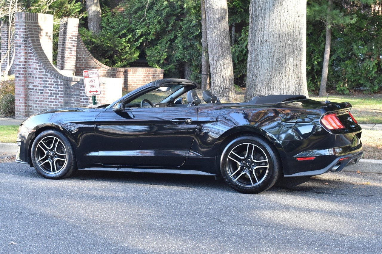 2019 Ford Mustang EcoBoost Premium Image 14 of 49