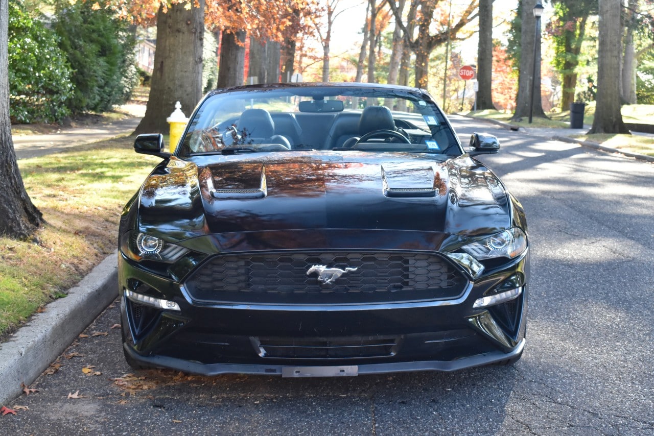 2019 Ford Mustang EcoBoost Premium Image 8 of 49
