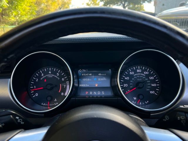 2019 Ford Mustang EcoBoost Premium Image 14 of 17