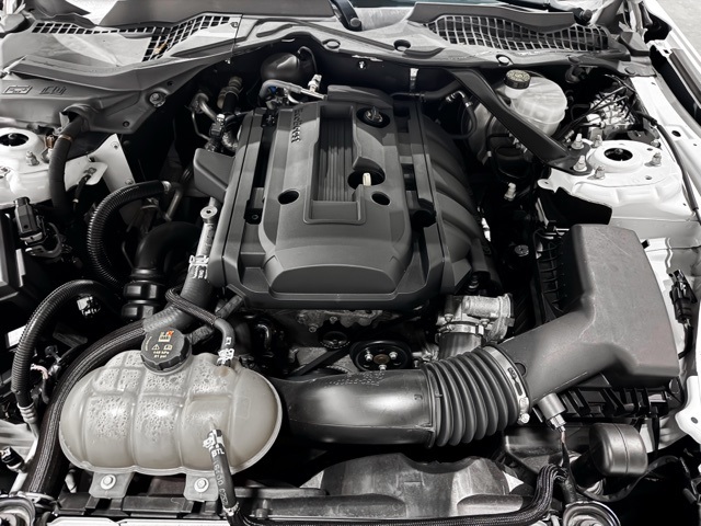 2019 Ford Mustang EcoBoost Premium Image 9 of 26