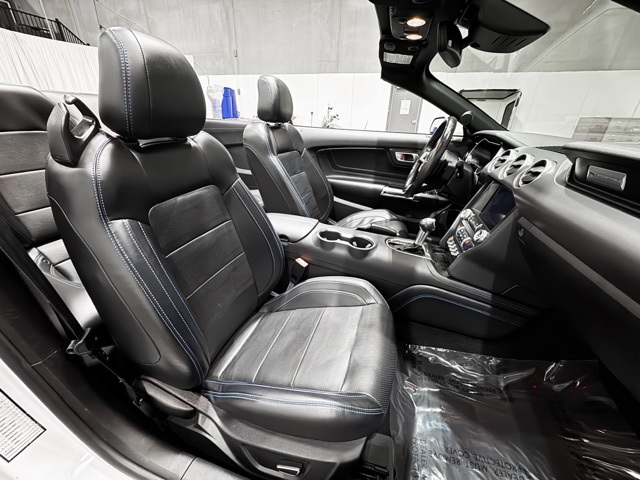 2019 Ford Mustang EcoBoost Premium Image 14 of 26