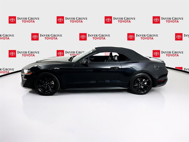 2019 Ford Mustang EcoBoost Premium Image 9 of 20