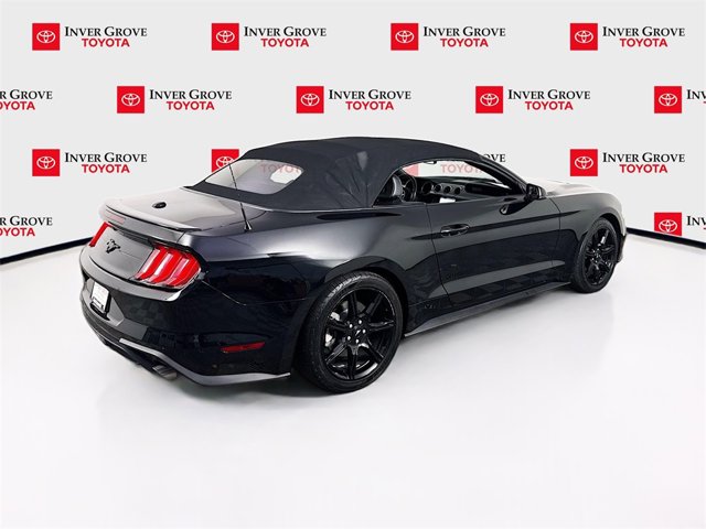 2019 Ford Mustang EcoBoost Premium Image 6 of 20