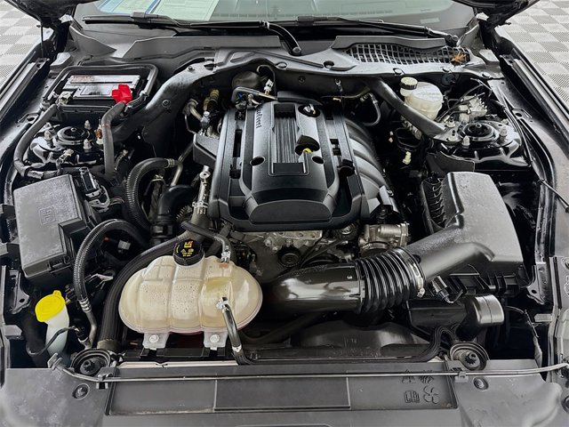 2019 Ford Mustang EcoBoost Premium Image 10 of 20