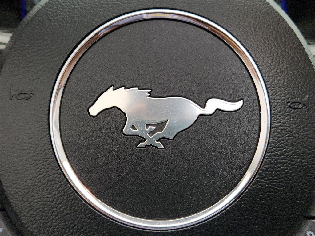 2019 Ford Mustang GT Premium Image 30 of 30