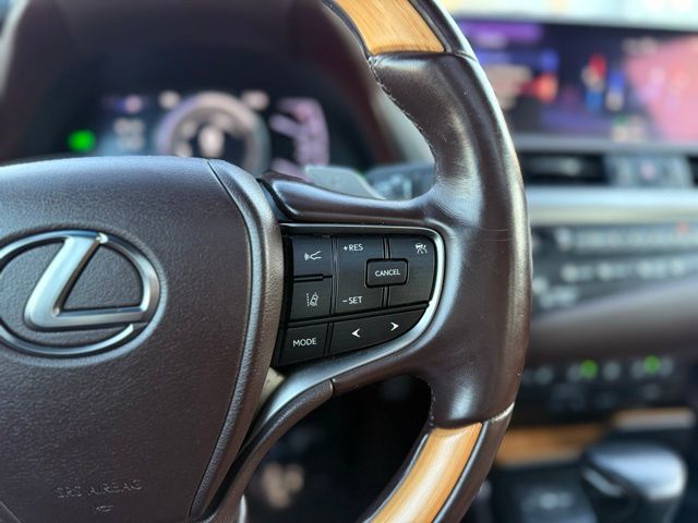 2019 Lexus ES 300h Luxury Image 41 of 45
