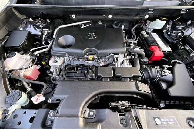 2019 Toyota RAV4 XLE Image 7 of 33
