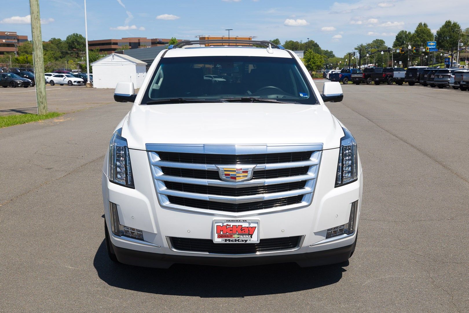 2020 Cadillac Escalade Luxury Image 3 of 29
