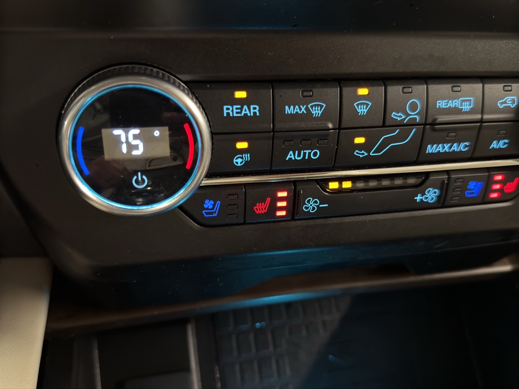 2020 Ford Expedition Platinum Image 29 of 39