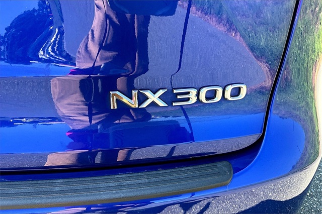 2020 Lexus NX 300 F Sport Image 32 of 32