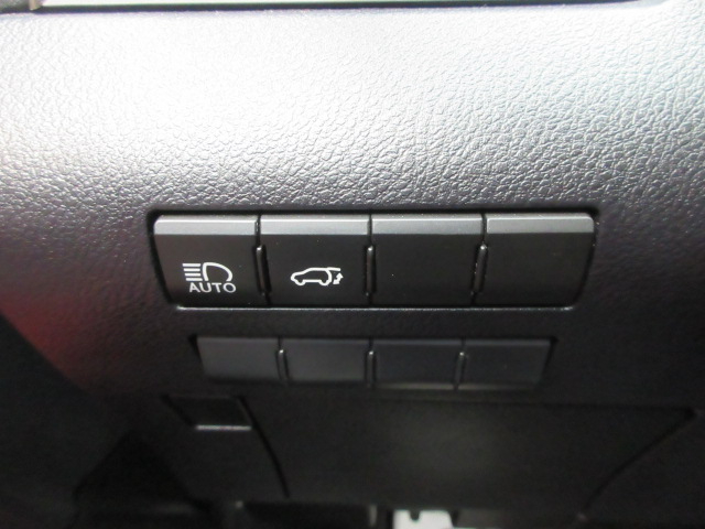 2020 Lexus RX 350 F Sport Image 43 of 65