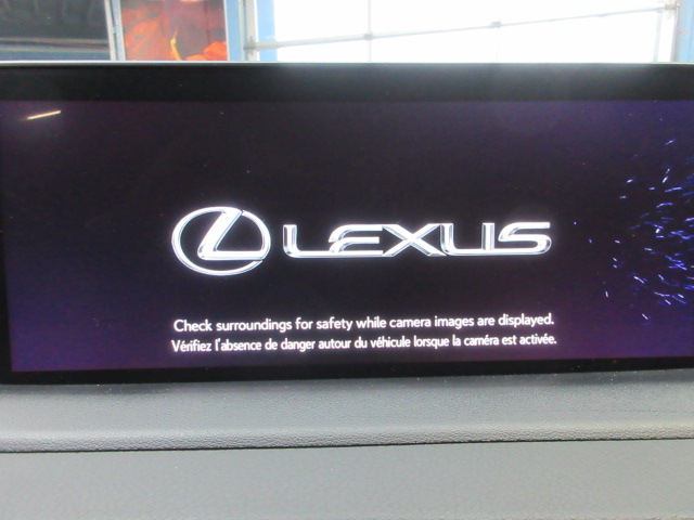 2020 Lexus RX 350 F Sport Image 61 of 65