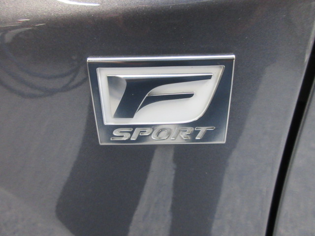 2020 Lexus RX 350 F Sport Image 55 of 65