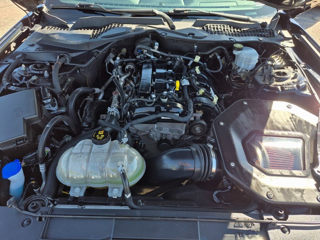 2021 Ford Mustang EcoBoost Image 8 of 22