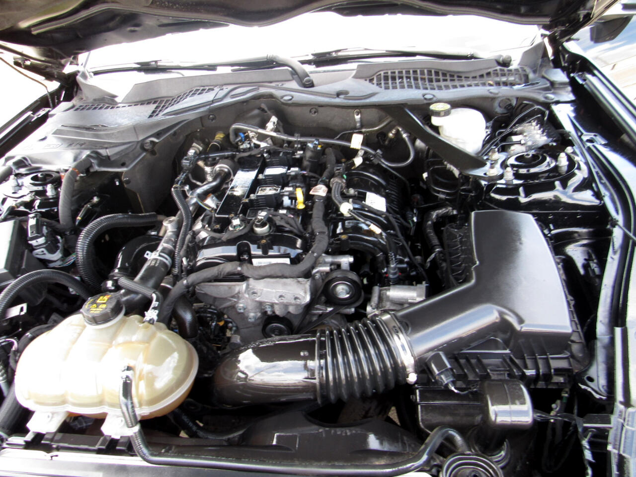 2021 Ford Mustang Image 70 of 70