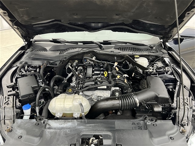 2021 Ford Mustang EcoBoost Premium Image 17 of 38