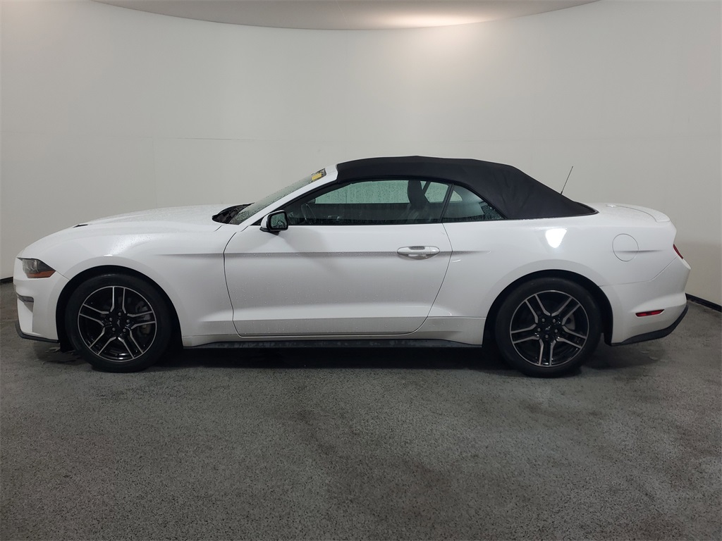 2021 Ford Mustang EcoBoost Premium Image 6 of 23