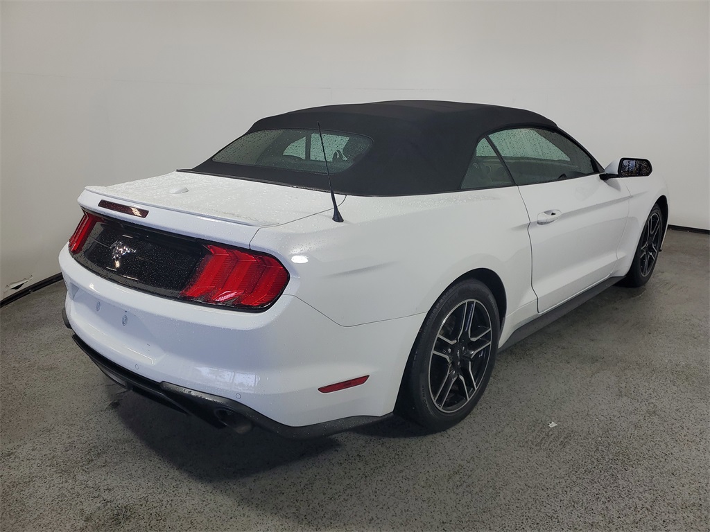 2021 Ford Mustang EcoBoost Premium Image 4 of 23