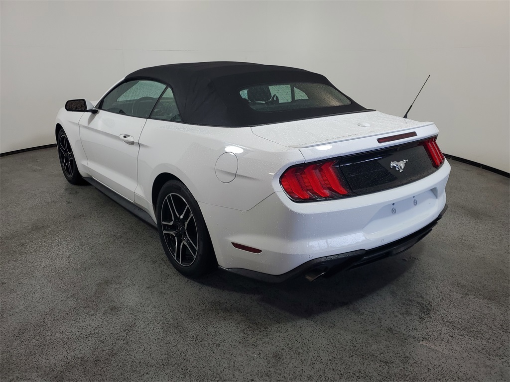 2021 Ford Mustang EcoBoost Premium Image 5 of 23