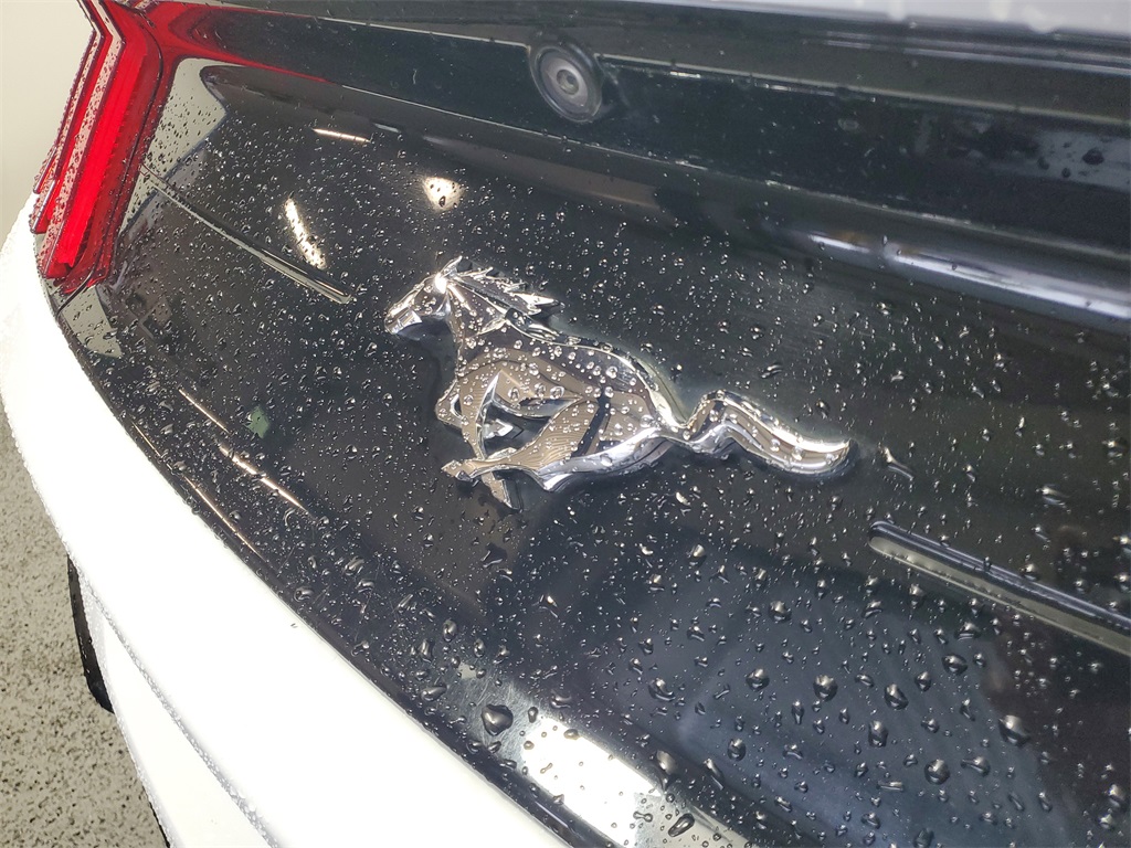 2021 Ford Mustang EcoBoost Premium Image 20 of 23