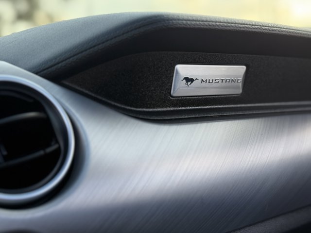 2021 Ford Mustang EcoBoost Premium Image 29 of 31