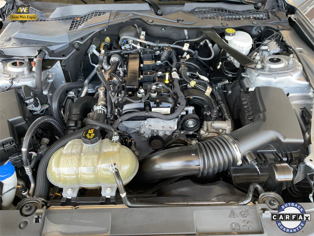 2021 Ford Mustang EcoBoost Premium Image 11 of 52